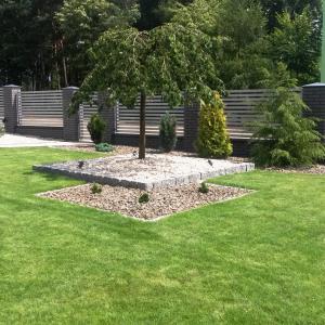 Image 050