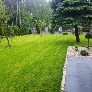 Image 075