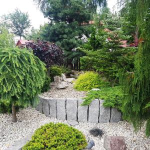 Image 083