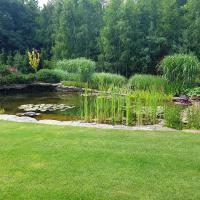 Image 024
